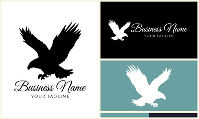 Eagle Logo Design Variations. (57)