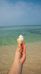 Seashell held by hand with turquoise ocean and sandy beach in Mexico.