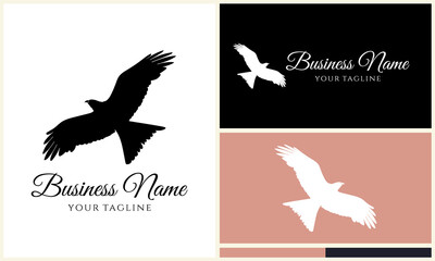 Flying Bird Logo Design Variations. (1)