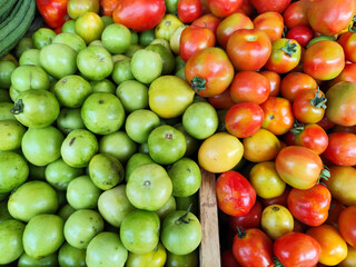 red fresh tomatoes on a branch on the counter
