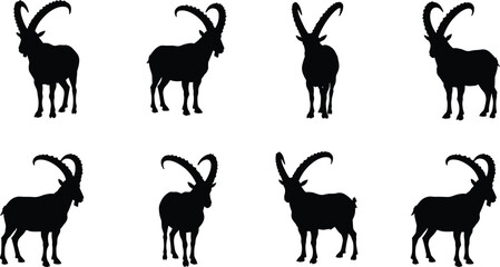 Wild ibex silhouette, mountain goat illustration, horned animal vector, wildlife design, alpine goat, nature symbol, isolated graphic, black silhouette art