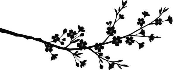 Cherry blossom branch silhouette, floral design element, black flower tree illustration, spring nature graphic, botanical vector art for decoration