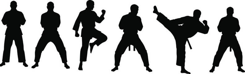 Martial arts silhouettes, karate training poses, martial artists practicing kicks and punches, karate class, martial arts discipline, fitness, strength, self-defense, martial arts moves, active sport