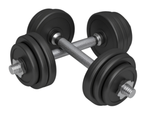Two black dumbbells crossed