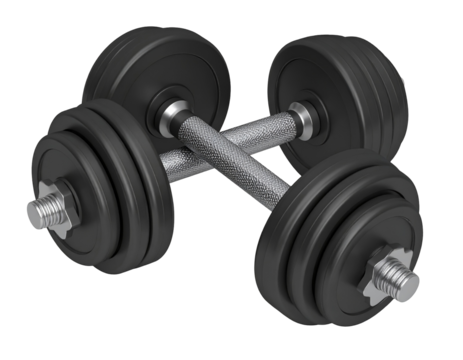 Two black dumbbells crossed