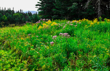 View of Stratton Mountain, Vermont