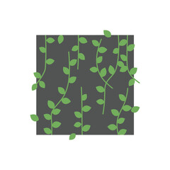 Simple green hanging vine plants with leaves vector illustration. © riiicil