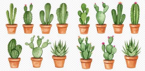 Watercolor collection of various cacti and succulents in terracotta pots.