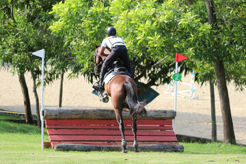 Competitive equestrian sports