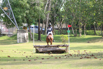 Competitive equestrian sports