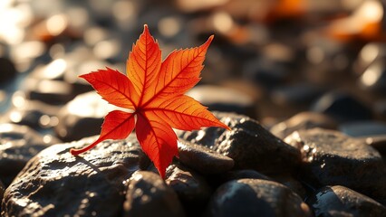 Vivid Autumn Leaf Amidst Rocks