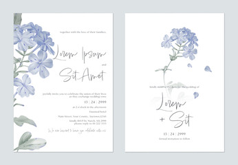 Wedding invitation and save the date template set with a minimalist design and soft, watercolor-style illustrations of Cape leadwort flowers and grayish-green leaves on a white background