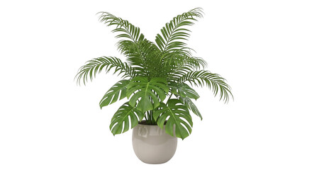 Obraz premium Potted palm and monstera plant isolated on transparent background, perfect for adding a touch of tropical greenery to any modern home or office space