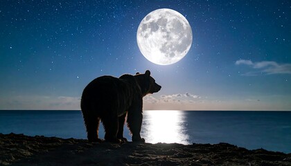 Bear Silhouette Moonlit Coastal Night Scene