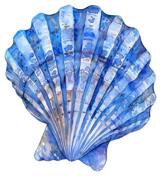 PNG Blue watercolor seashell illustration