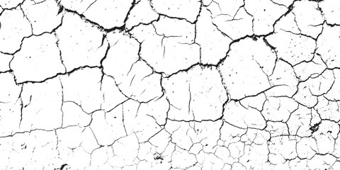 Monochrome Cracked Earth Abstract Texture Overlay Background
