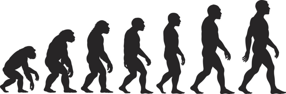 Evolution of man silhouette illustration showing stages from ape to modern human, black vector design, scientific concept, anthropology, biology, history, development