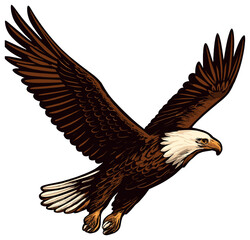 Obraz premium Majestic bald eagle vector illustration depicting freedom and patriotism