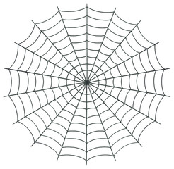 Obraz premium Intricate spider web vector: nature's geometric design in detail for halloween concepts