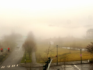 Obraz premium A foggy day in the Issaquah Highlands of Washington state