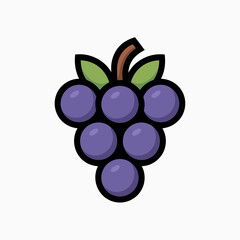 vector illustration of grapes