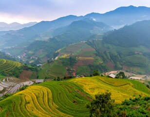 Fototapeta premium Panoramic mountain valley with terraced rice paddies