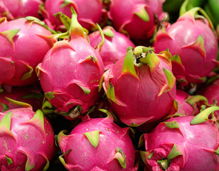 Fototapeta premium dragon fruit background