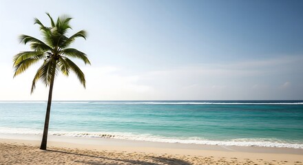 Obraz premium Solitary Palm Tree on a Tropical Beach Paradise