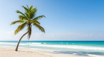 Serene Tropical Paradise: Lone Palm Tree on Pristine Beach