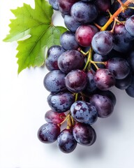 Fototapeta premium Fresh bunch of purple grapes with dew on white background