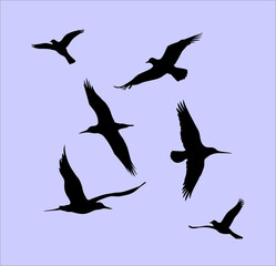 Obraz premium Flying birds silhouettes vector illustration