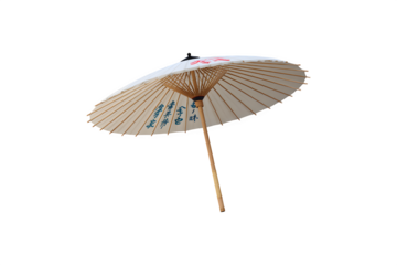 A decorative wagasa featuring intricate design and writing
