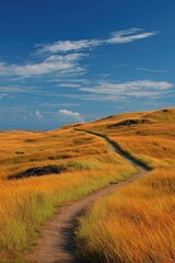 Fototapeta premium Golden path winding up a hill under a vibrant sky