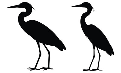 Fototapeta premium heron silhouette vector