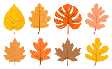 Obraz premium PNG Colorful autumn leaves illustration, element set on transparent background