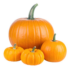 A group of four bright orange pumpkins of varying sizes, each with a green stem, showing smooth, ribbed surfaces and a round, plump shape