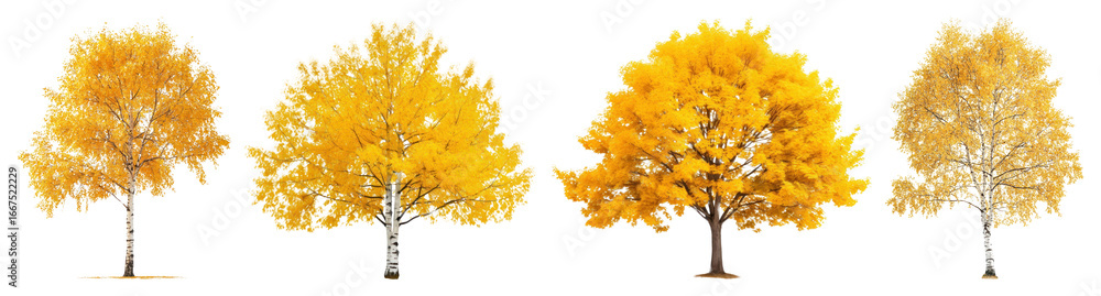 Poster png vibrant autumn trees in sequence, element set on transparent background