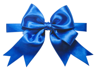 blue bow on white background