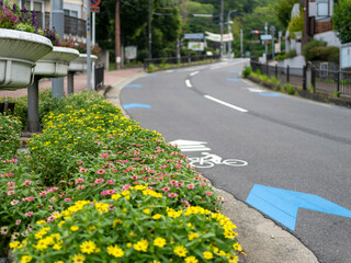 花壇に花が咲く道路沿いの景色