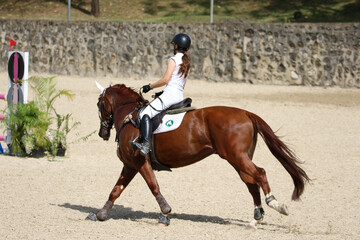 Competitive Equestrian Sports