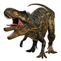 Fototapeta premium A fierce Tyrannosaurus rex with an open mouth displaying sharp teeth, textured scaly skin, powerful legs, and a curved tail in a dynamic pose