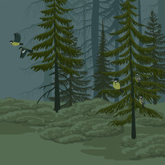vector drawing landscape with fir trees, forest and birds, dark marsh with great tits and spruces, hand drawn illustration