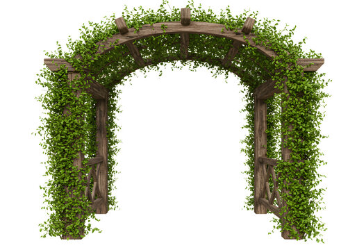 Charming wooden garden arbor covered in lush green vines, perfect for weddings or events