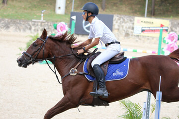 Competitive Equestrian Sports