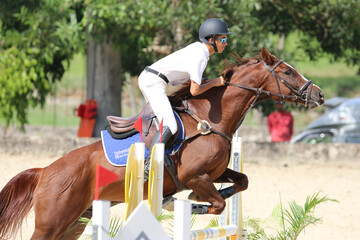 Competitive Equestrian Sports