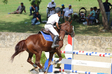 Competitive Equestrian Sports