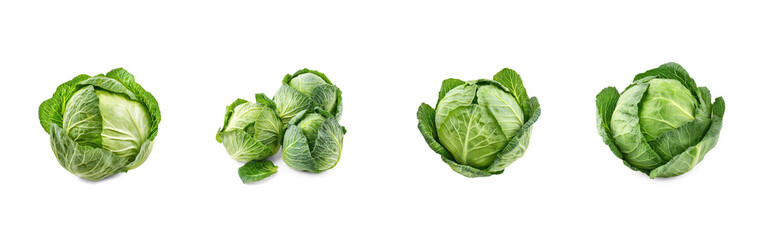 Fototapeta premium Cabbage heads or leaves boiled or steamed until tender, commonly served as a side dish. full length isolate on transparent background
