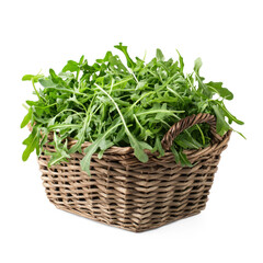 Fototapeta premium Fresh, vibrant arugula placed in a rustic basket for a farm-fresh presentation. full length isolate on transparent background