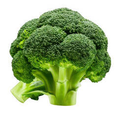 Broccoli crown fresh, isolated on white and transparent background.