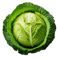 Fototapeta premium Cabbage green round, isolated on white and transparent background.